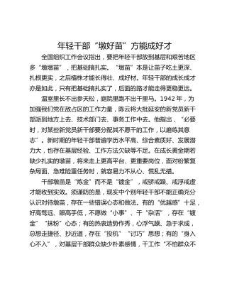 年轻干部“墩好苗”方能成好才