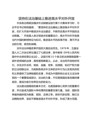 坚持在法治基础上推进高水平对外开放