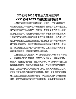 XX公司2023年基层党建问题清单