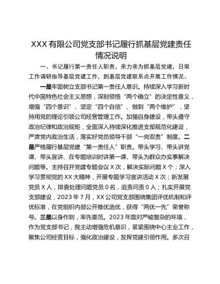 XXX有限公司党支部书记履行抓基层党建责任情况说明