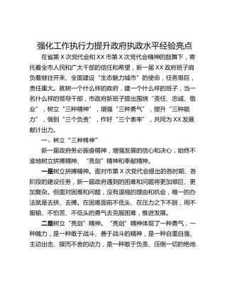 强化工作执行力提升政府执政水平经验亮点