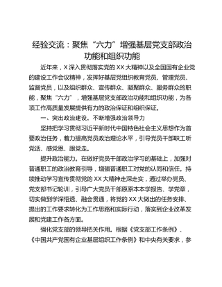 经验交流：聚焦“六力”增强基层党支部政治功能和组织功能