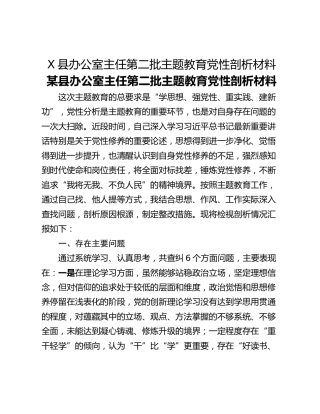 X县办公室主任第二批主题教育党性剖析材料