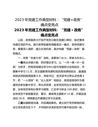 2023年党建工作典型材料：“党建政务” 痛点变亮点