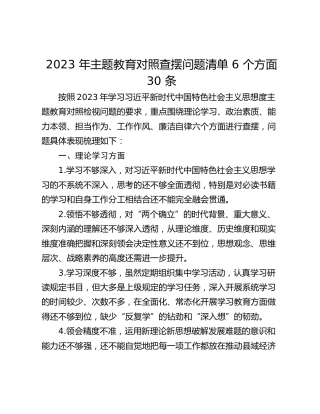 2023 年主题教育对照查摆问题清单 6 个方面 30 条