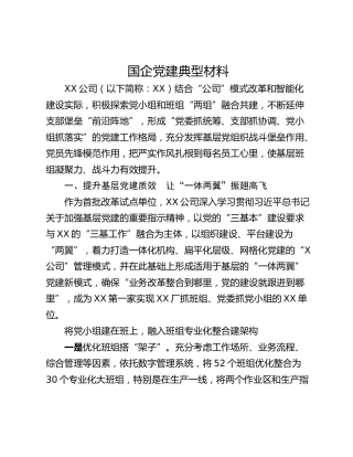 国企党建典型材料