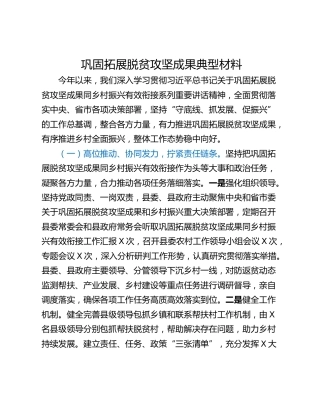 巩固拓展脱贫攻坚成果典型材料