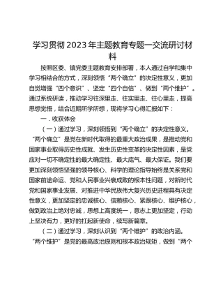 学习贯彻2023年主题教育专题一交流研讨材料