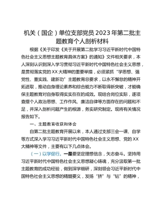 机关（国企）单位支部党员2023年第二批主题教育个人剖析材料