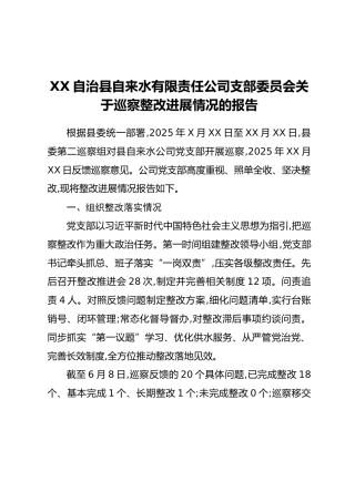 XX自治县自来水有限责任公司支部委员会关于巡察整改进展情况的报告