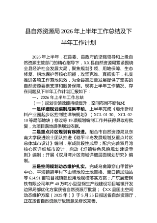 县自然资源局2026年上半年工作总结及下半年工作计划