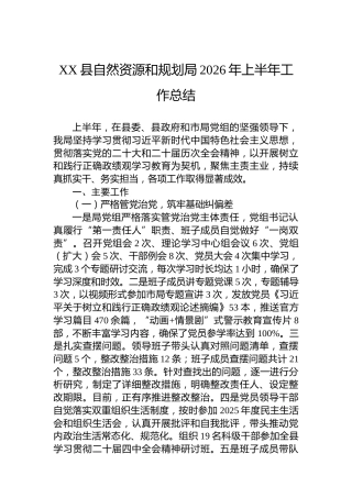 XX县自然资源和规划局2026年上半年工作总结