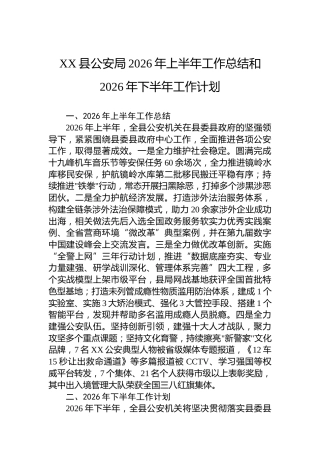 XX县公安局2026年上半年工作总结和2026年下半年工作计划