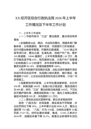 XX经开区综合行政执法局2026年上半年工作情况及下半年工作计划