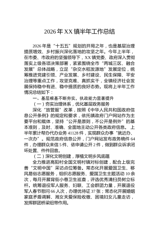 2026年XX镇半年工作总结