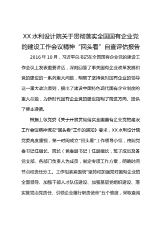 XX设计院关于贯彻落实全国国有企业党的建设工作会议精神“回头看”自查评估报告