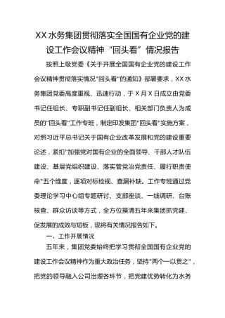 XX集团贯彻落实全国国有企业党的建设工作会议精神“回头看”情况报告3