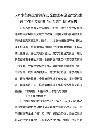 XX集团贯彻落实全国国有企业党的建设工作会议精神“回头看”情况报告2