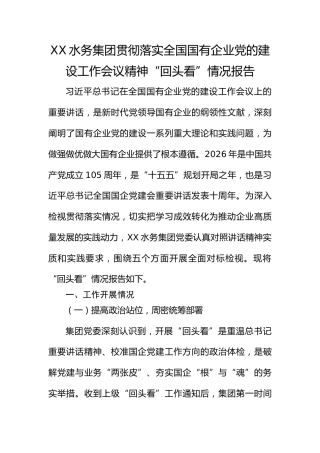 XX集团贯彻落实全国国有企业党的建设工作会议精神“回头看”情况报告
