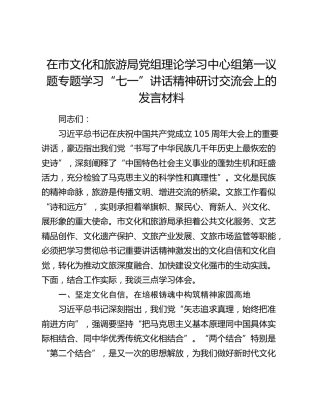 在市文化和旅游局党组理论学习中心组第一议题专题学习“七一”讲话精神研讨交流会上的发言材料