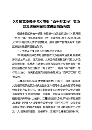 XX镇党委关于XX市委“百千万工程”专项交叉巡察问题整改进展情况报告
