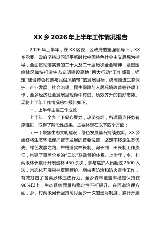XX乡2026年上半年工作情况报告_1