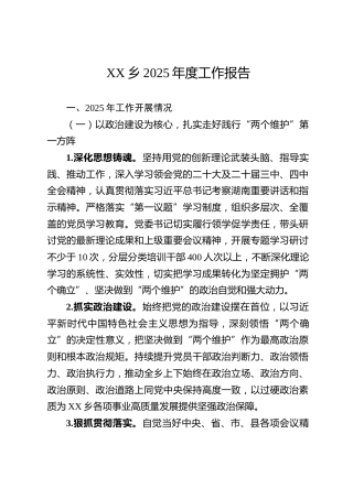 XX乡2025年度工作报告