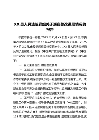 XX县人民法院党组关于巡察整改进展情况的报告