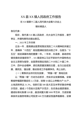 XX县XX镇人民政府工作报告