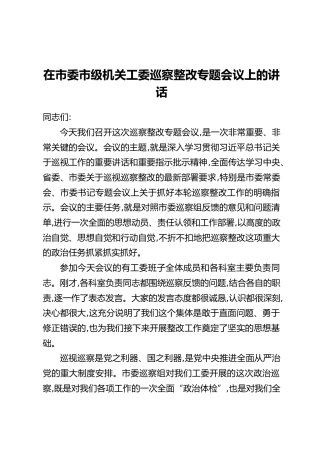 在市委市级机关工委巡察整改专题会议上的讲话