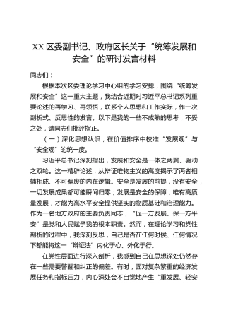 XX区委副书记、政府区长关于“统筹发展和安全”的研讨发言材料