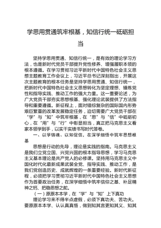 学思用贯通筑牢根基，知信行统一砥砺担当