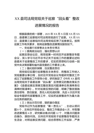 XX县司法局党组关于巡察“回头看”整改进展情况的报告