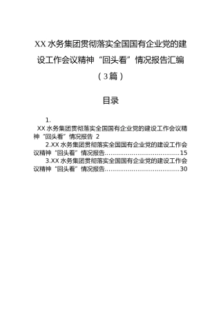 XX水务集团贯彻落实全国国有企业党的建设工作会议精神“回头看”情况报告汇编（3篇）