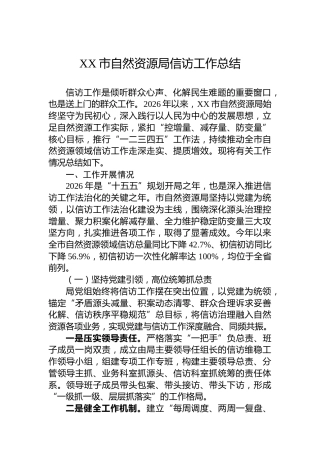 XX市自然资源局信访工作总结