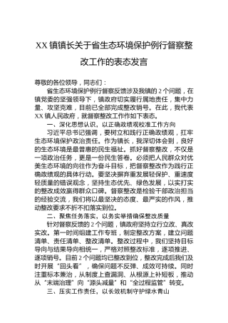 XX镇镇长关于省生态环境保护例行督察整改工作的表态发言