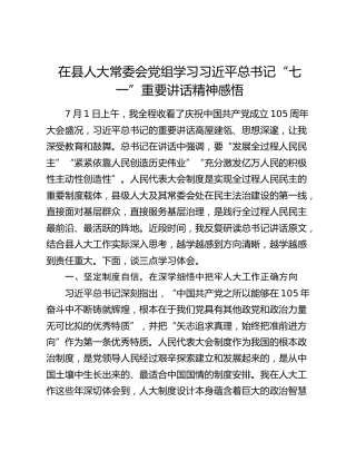 在县人大常委会党组学习习近平总书记“七一”重要讲话精神感悟