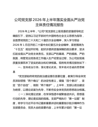 公司党支部2026年上半年落实全面从严治党主体责任情况总结报告