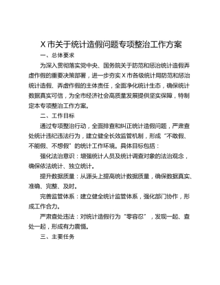 X市关于统计造假问题专项整治工作方案