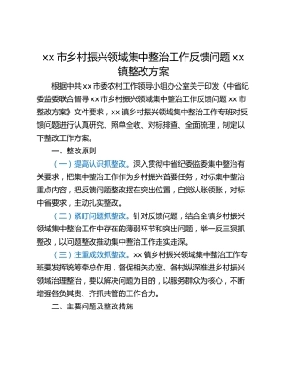 xx市乡村振兴领域集中整治工作反馈问题xx镇整改方案