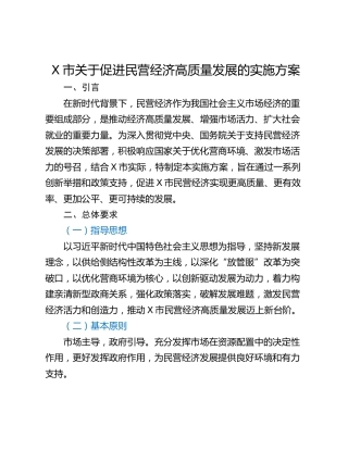 X市关于促进民营经济高质量发展的实施方案
