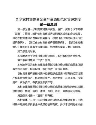 X乡农村集体资金资产资源规范化管理制度