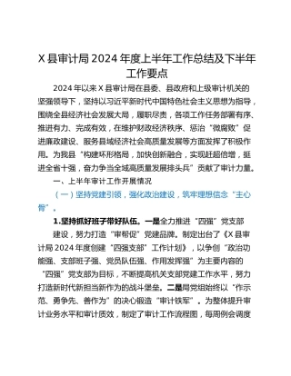 X县审计局2024年度上半年工作总结及下半年工作要点