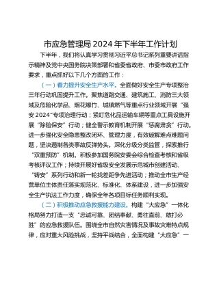 市应急管理局2024年下半年工作计划
