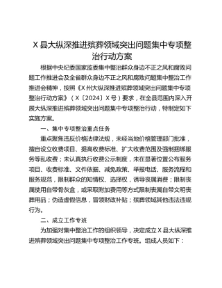 X县大纵深推进殡葬领域突出问题集中专项整治行动方案