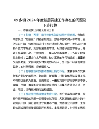 Xx乡镇2024年度基层党建工作存在的问题及下步打算