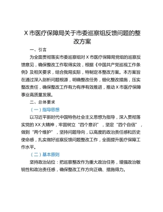 X市医疗保障局关于市委巡察组反馈问题的整改方案