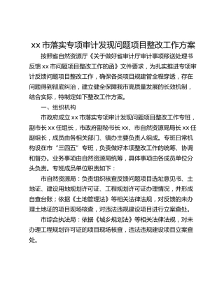 xx市落实专项审计发现问题项目整改工作方案