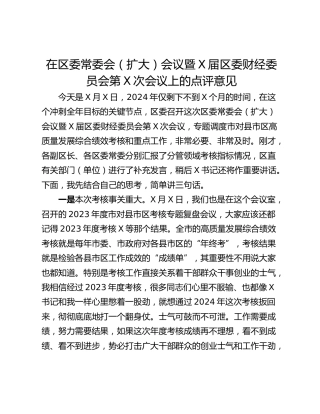 在区委常委会（扩大）会议暨X届区委财经委员会第X次会议上的点评意见