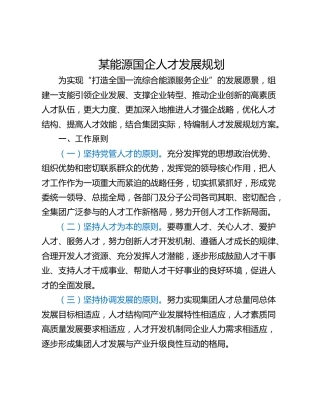 某能源国企人才发展规划